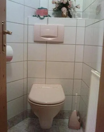 Egger צל אם צילר